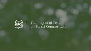 The Impact of Pests on Forest Composition