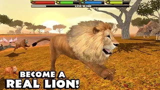 🦁👍ULTIMATE  ♌️LION SIMULATOR - By Gluten Free Games - Compatible with iPhone, iPad, and iPod touch.