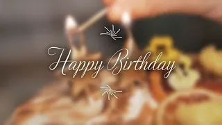 Happy Birthday Video Template(Intro)