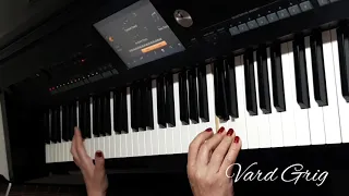 Армянская музыка❤️Piano  cover Vard Grig