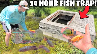 24 HOUR FISH TRAP in PARKING LOT SEWER CATCHES AQUARIUM FISH!
