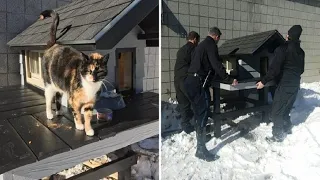 Cops Build A ‘Cat Condo’ For Homeless Cat Who Keeps Visiting Police Department