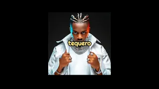 rayvanny ft marioo ~ Tequiero lyrics video