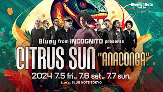 Bluey from INCOGNITO presents CITRUS SUN "ANACONGA"  : BLUE NOTE TOKYO 2024 trailer