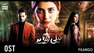 Neeli Zinda Hai Ost | @Ary Digital Ost New Song Neeli Zinda Hai | Best Ost Song Of 2021