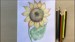 Малюємо соняшник кольоровими олівцями разом з художницею Наталкою Барвінок. #урок_малювання