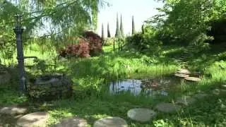 Gartengestaltung: Naturgärten anlegen
