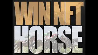 WIN NFT Horse - Gamefi Brought to you by TRON, WINKLink and APENFT! Amazing Play to Earn Opportunity