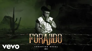 Christian Nodal - Poquito a Poco (Cover Audio)