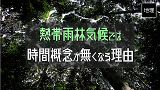 時間は空間から作られる  熱帯雨林気候が時間の概念を破壊する