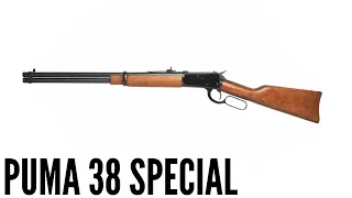 Carabina Puma 38 spl - Minha opinião sobre ela #armas rossi #38spl #puma