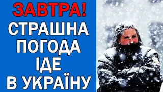 ПОГОДА НА ЗАВТРА : ПОГОДА 21 ЛИСТОПАДА