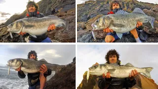 Big Bass Diaries 1- Monster Sea Bass On Lures Part 1 (6 double figures on lures)