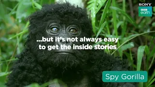 Spy Blooper Reel | Spy In The Wild 2 | Premiering 21st September