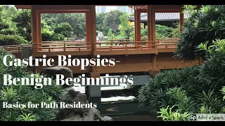 Gastric biopsies - The benign beginnings to study