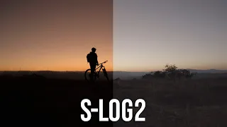 EL MEJOR perfil de COLOR en SONY A7III