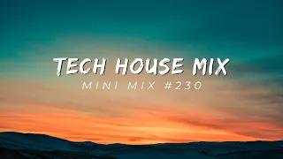 Tech House Mix - Mini Mix #230 - Mixed By P-TEK