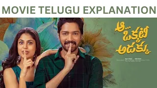 A okkati adakku movie telugu explanation