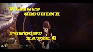 Destiny 2 Kleines Geschenk Fundort Katze 8