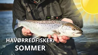 Summertime Fishing For Sea Trout - What Time Of The Day Is Best?