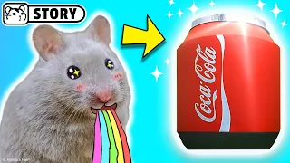 Hamster in the Coca Cola maze 🐹 Homura Ham