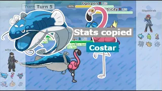 Flamigo's Costar Copies All Dondozo Stats! | Pokémon showdown