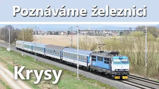 Poznáváme železnici | Krysy