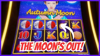 🔵Can I Beat AUTUMN MOON With $100?🎰 Dragon Link Slots at The Fountaine Bleu in Las Vegas!