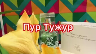 Пур  Тужур (навсегда)