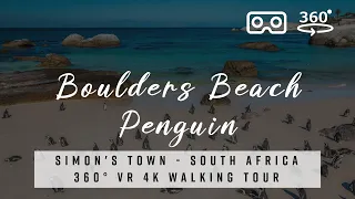Pinguin Boulders Beach, Cape Town 🇿🇦 South Africa - 360° VR 4K Tour with best of Deep House Music