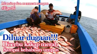 CARA MERAWAT RUMPON || DILUAR DUGAAN ! DISERBU KAKAP MERAH SAMPAI HABIS UMPAN || PULAU SERIBU