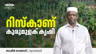 സ്ഥലം തിരഞ്ഞെടുക്കലും, മണ്ണ് പാകപ്പെടുത്തലും ആണ് ഏറ്റവും പ്രധാനം | ബഷീർ വളാഞ്ചേരി, മലപ്പുറം