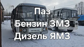 Автобусы Паз.Хорошая техника для плохих дорог.