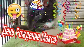 ☆ ДЕНЬ РОЖДЕНИЕ МАКСА! ☆