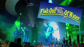 FNL: Fish Out of Water Band