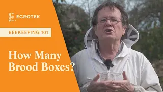 Beekeeping 101: Should you run one or two brood boxes for your bee hives? - Dr Mark Goodwin