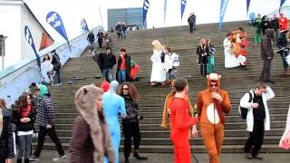 HARLEM SHAKE FLASHMOB Linz Austria | MAKING OF