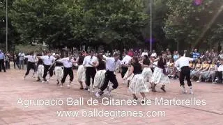 Ball de Gitanes de Martorelles - " El Xotis " (2011)