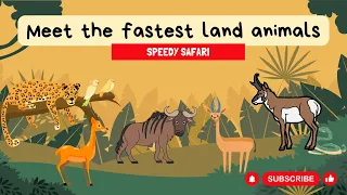 Do You Know The Fastest Animals On Land?🌍