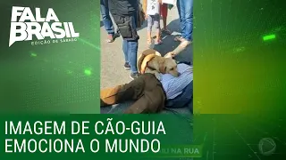 Cão-guia não abandona dono que caiu na rua e imagem emociona