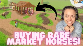 Visiting EVERY market to find rare horses! / Wild Horse Islands / ROBLOX