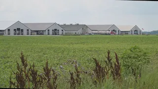 La semaine verte | L’agriculture nuisible au Lac Érié