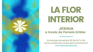 LA FLOR INTERIOR | Jeshua a través de Pamela Kribbe