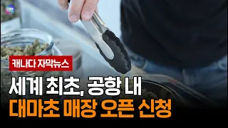 세계 최초, 공항 내 대마초 매장 오픈 신청