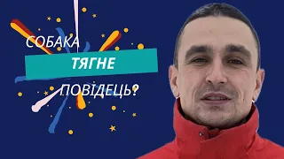 Маєш проблеми з повідком?