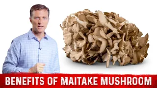 Amazing Health Benefits of Maitake Mushroom – Dr.Berg