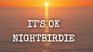 IT'S OK by NIGHTBIRDE (AGT Golden Buzzer)