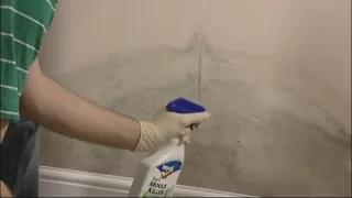 How to remove mould from walls and ceilings