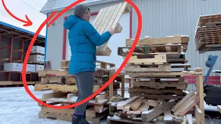 The GENIUS new pallet idea everyone's copying this winter!