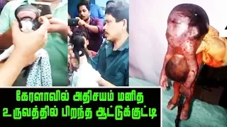 Goat Born With Humans Head In Kerala | Breaking News | Exclusive Video | Must Watch Viral Video
